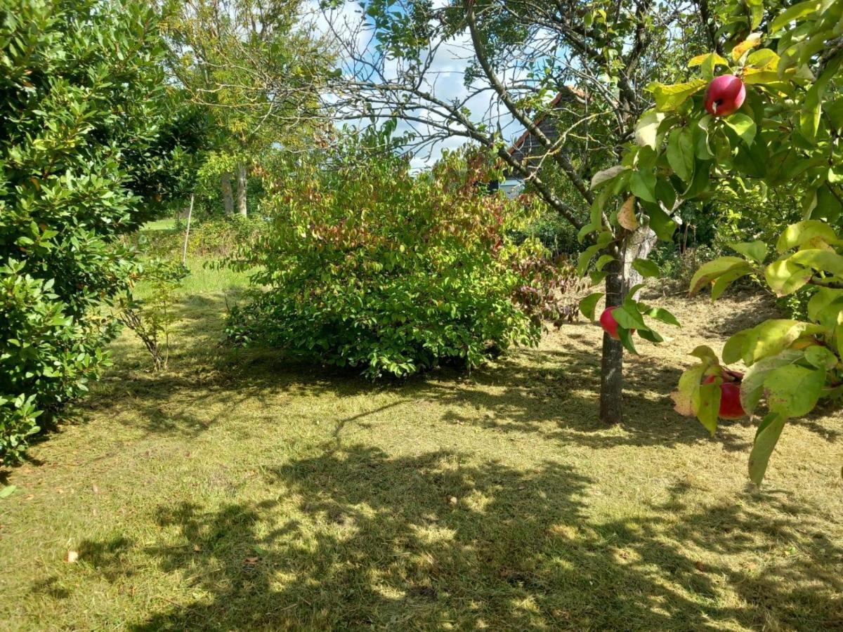 Le Jardin Secret Vila Saint-Omer  Exterior foto